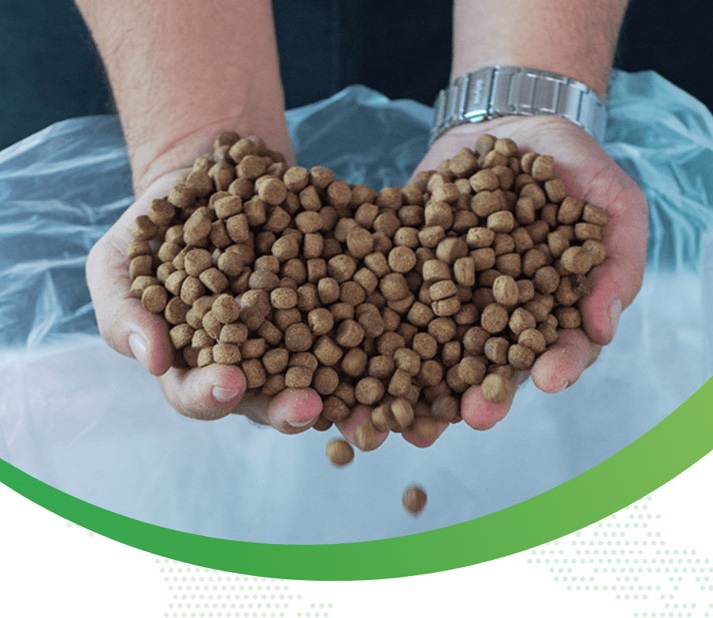 dam-ca-amino dam-ca-amino