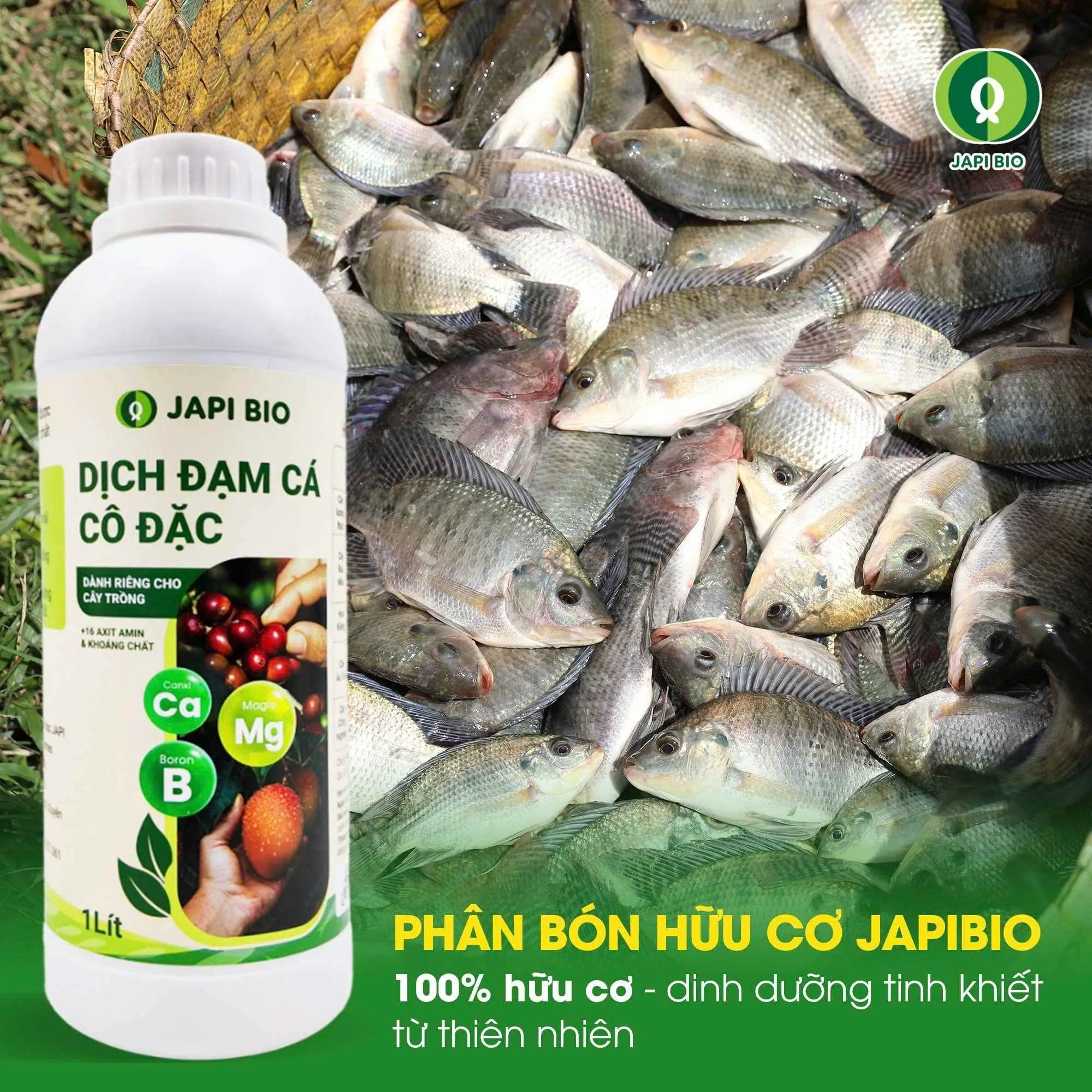 đạm cá amino Japi Bio