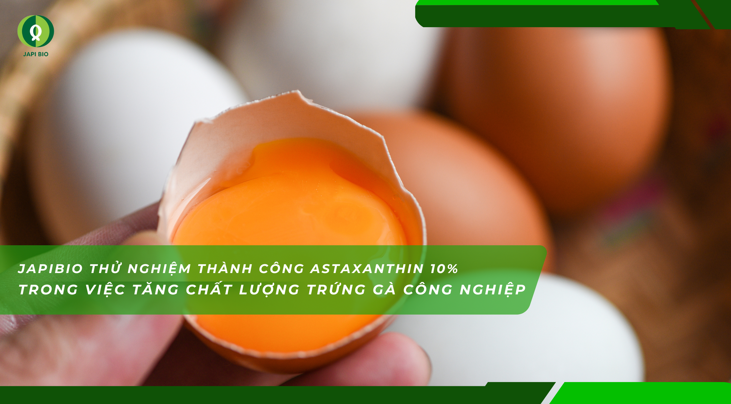 dam-ca-amino dam-ca-amino