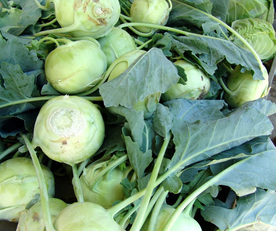 dam-ca-amino dam-ca-amino