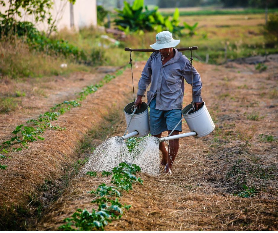 dam-ca-amino dam-ca-amino