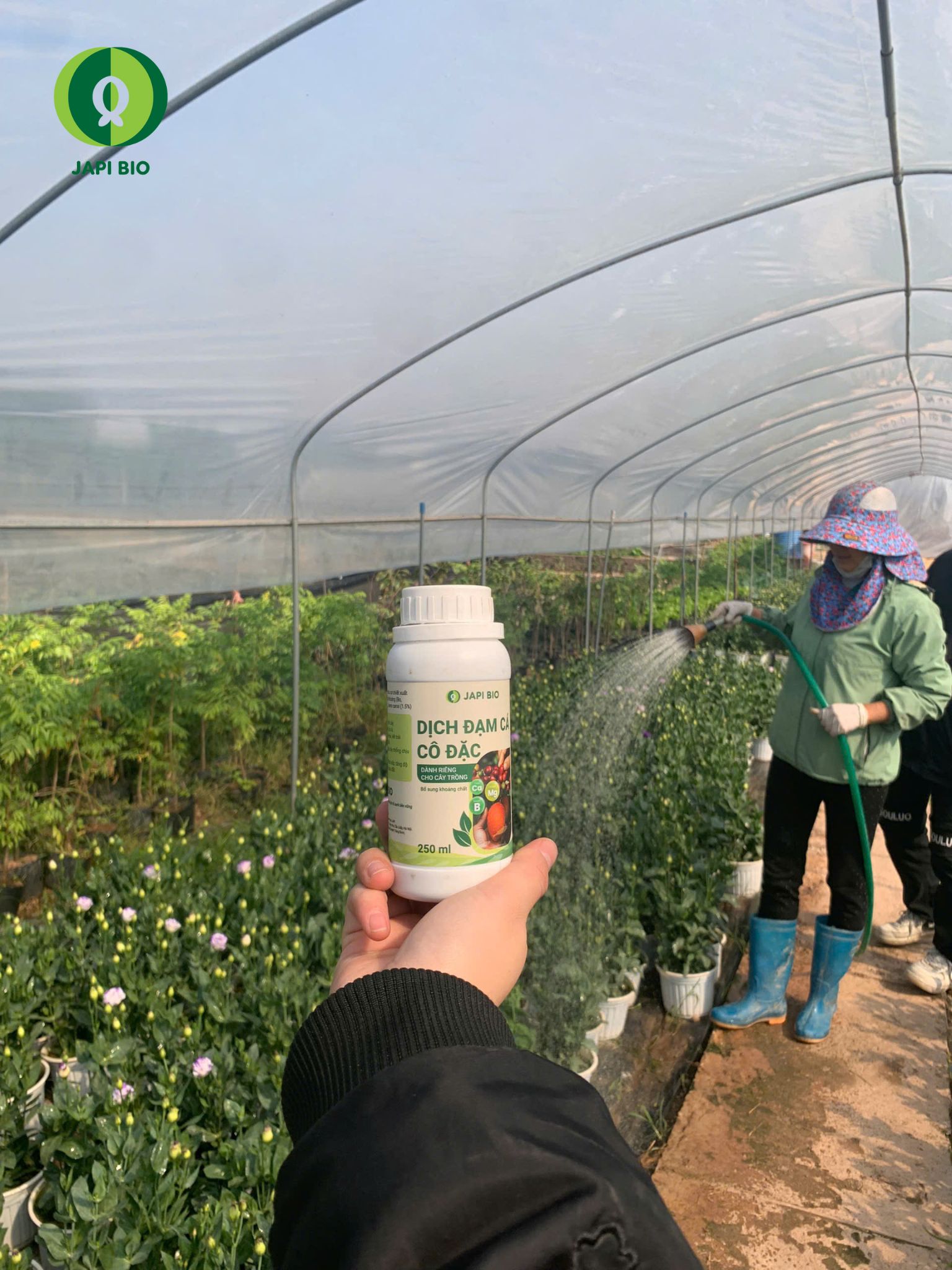 dam-ca-amino dam-ca-amino