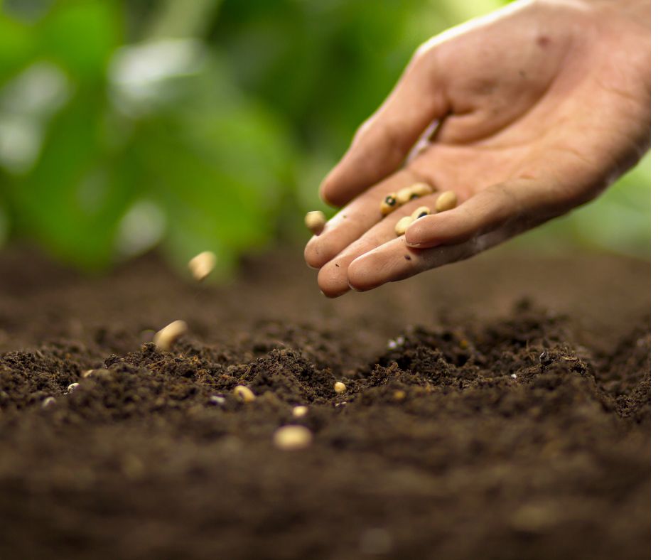 dam-ca-amino dam-ca-amino