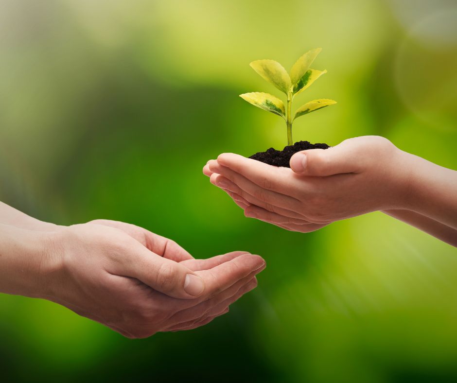 dam-ca-amino dam-ca-amino