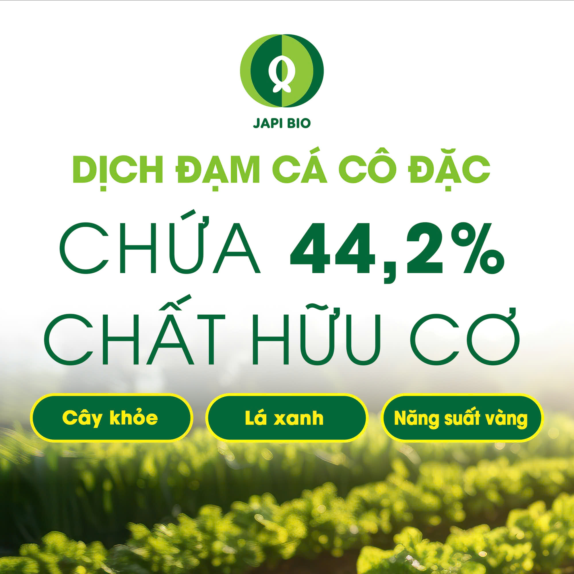 dam-ca-amino dam-ca-amino