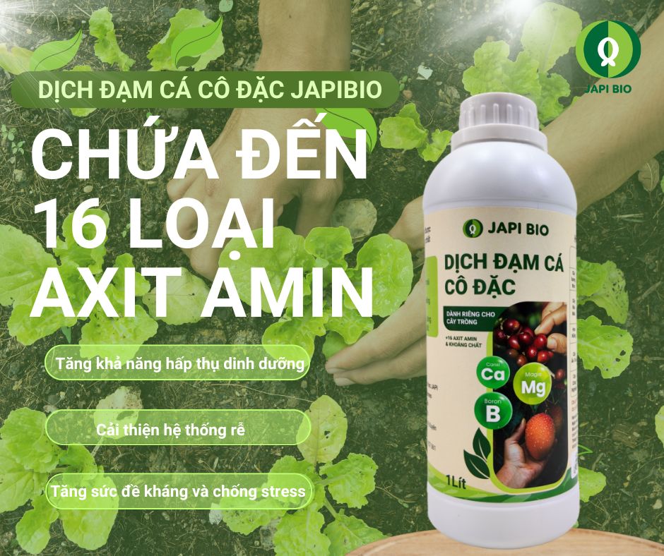 dam-ca-amino Axit amin trong dịch đạm cá JapiBio