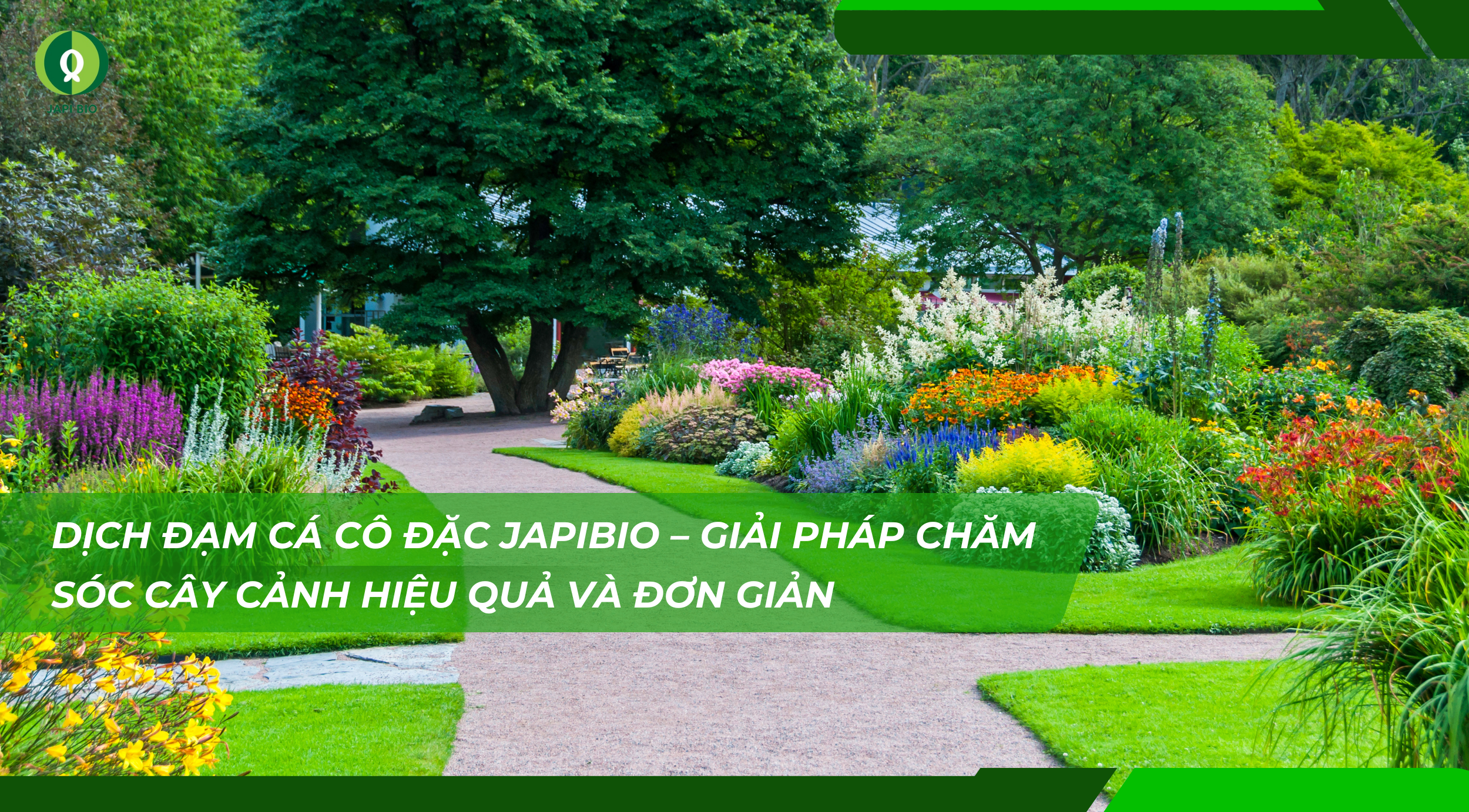 dam-ca-amino dam-ca-amino