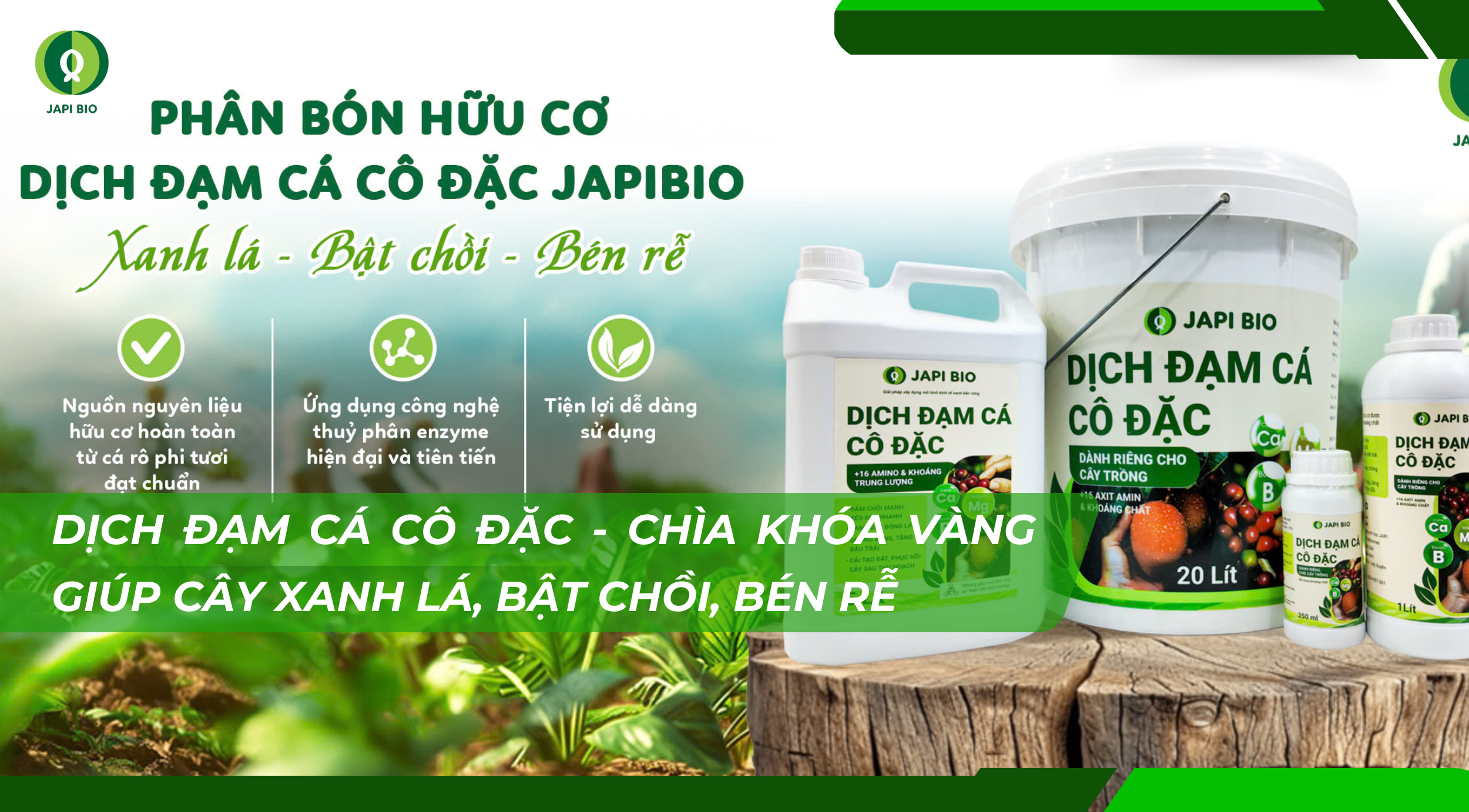 dam-ca-amino dam-ca-amino