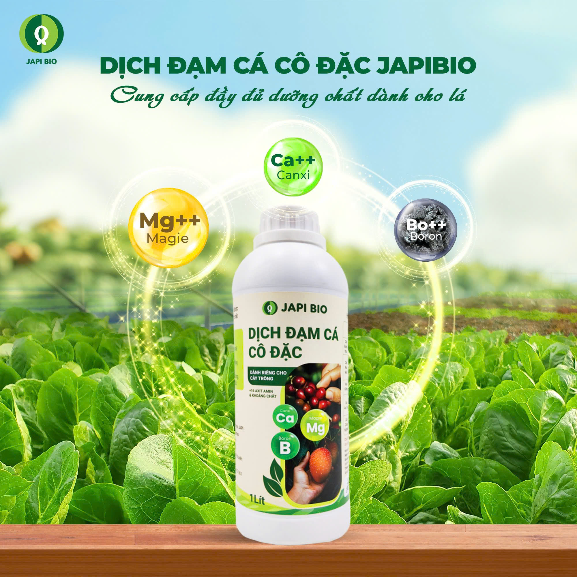 dam-ca-amino dam-ca-amino