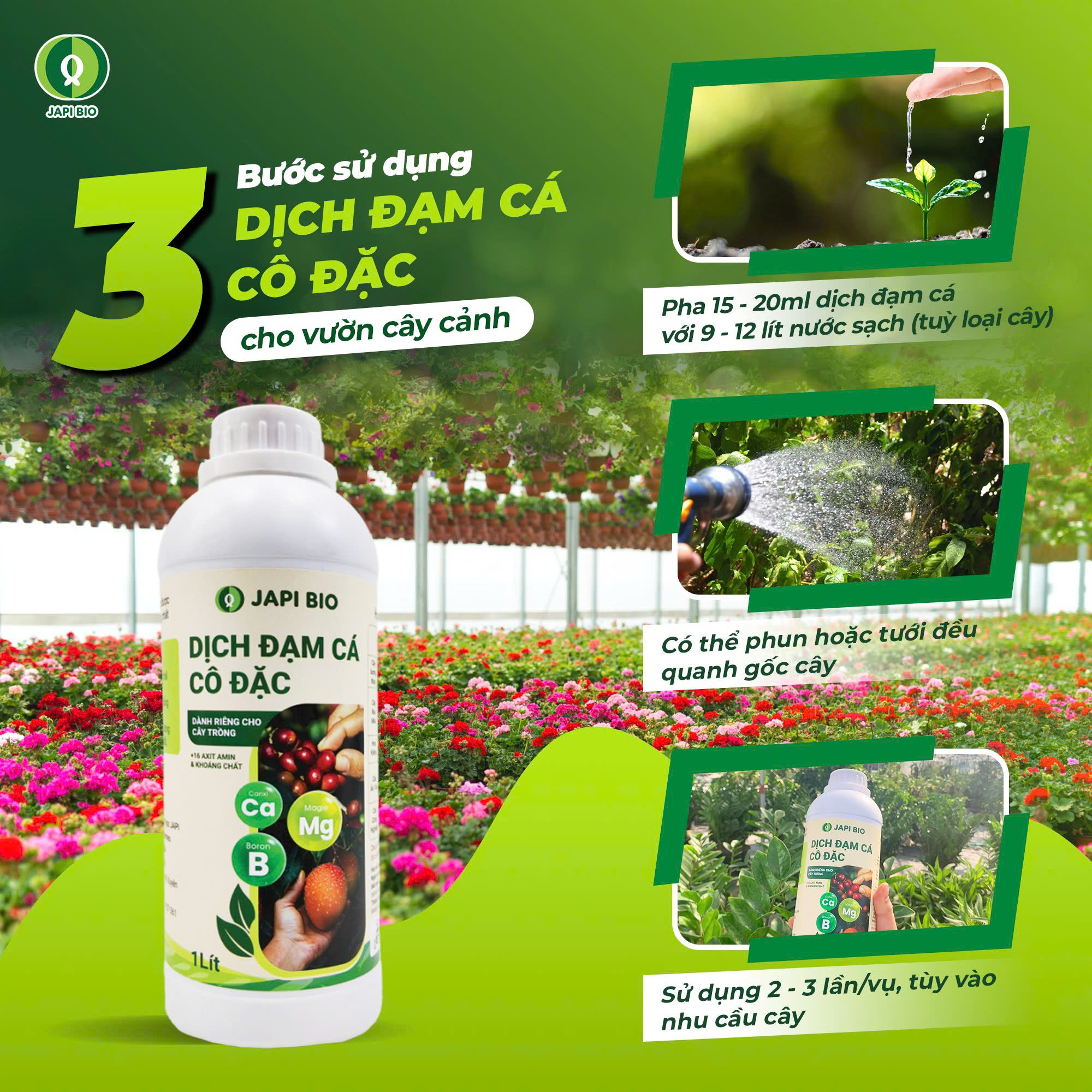 dam-ca-amino Chăm sóc cây cảnh
