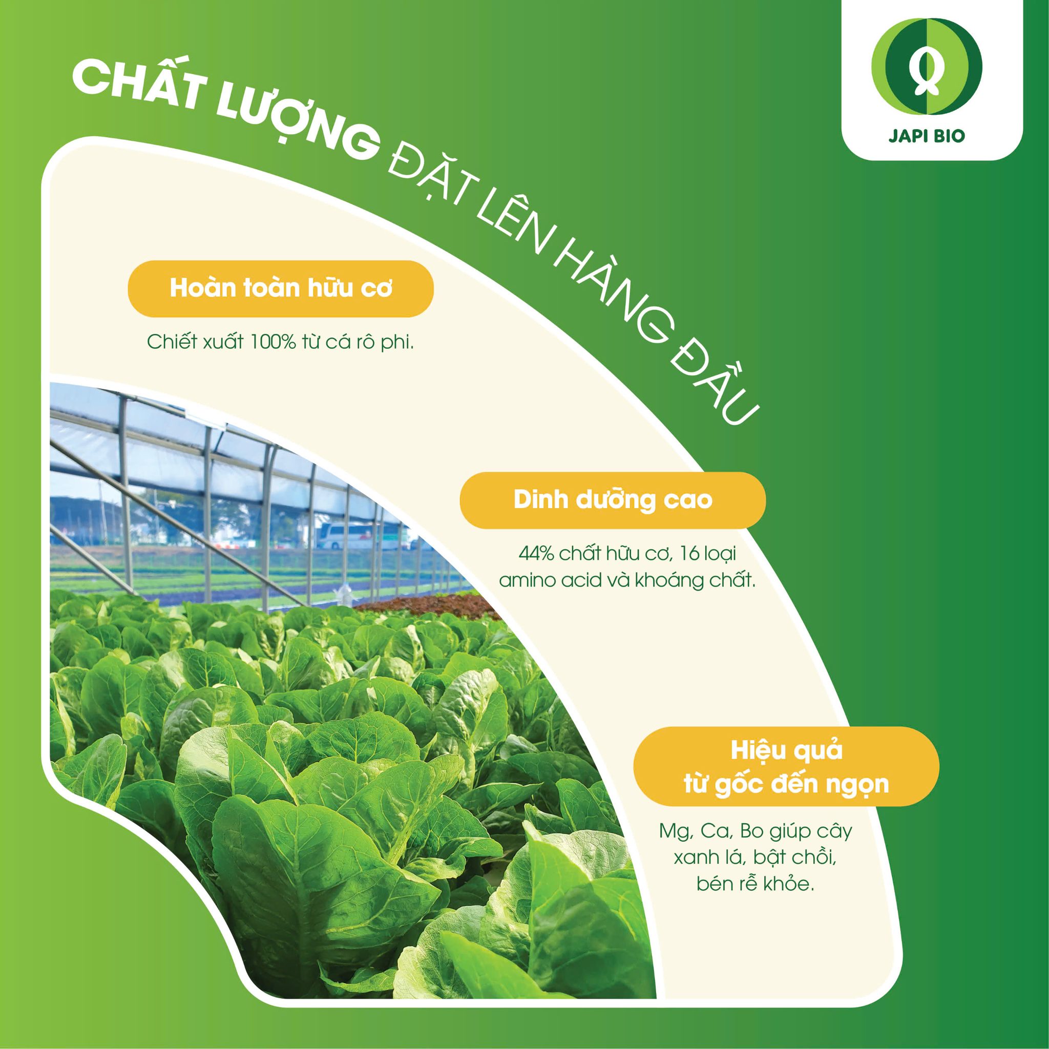 dam-ca-amino dam-ca-amino