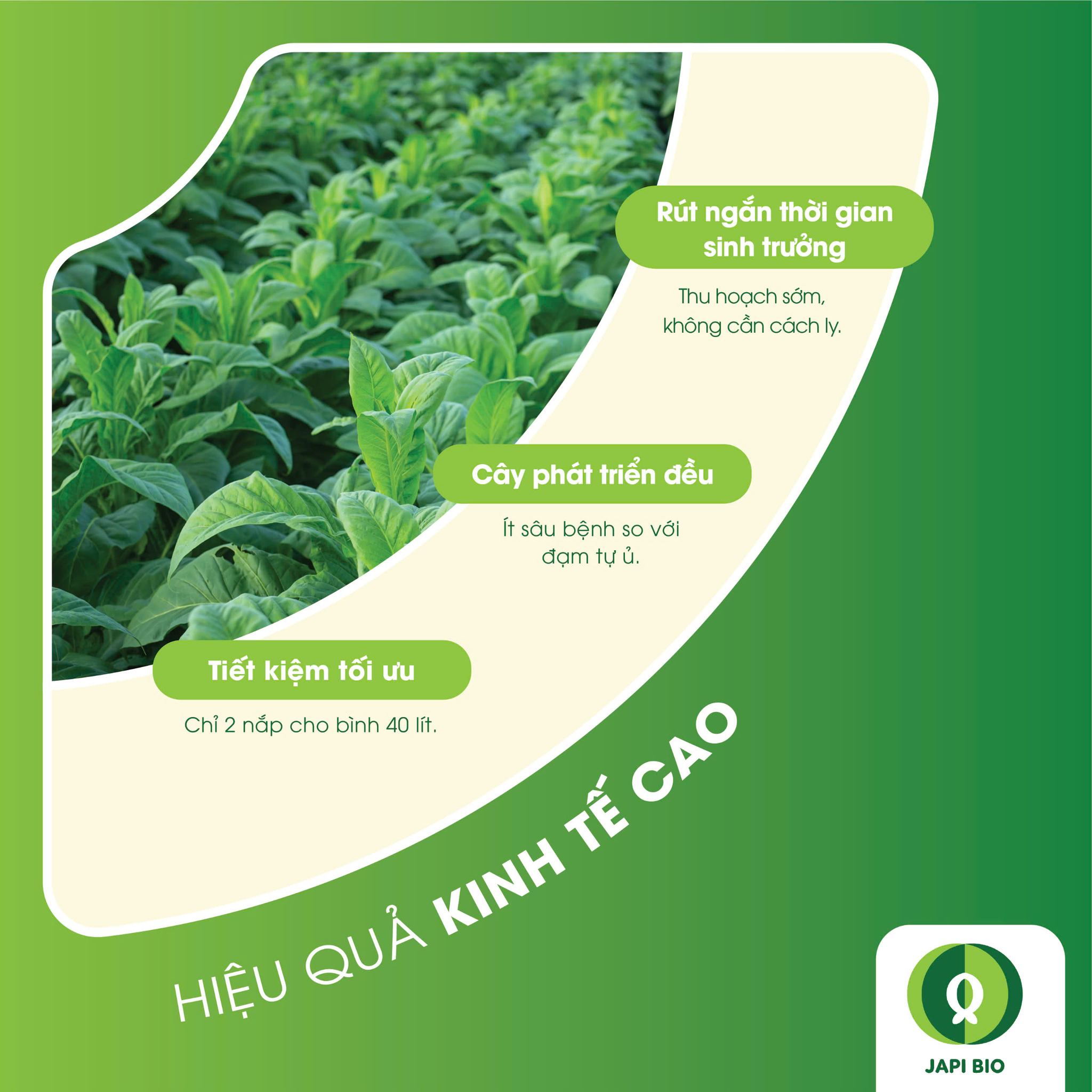 dam-ca-amino dam-ca-amino