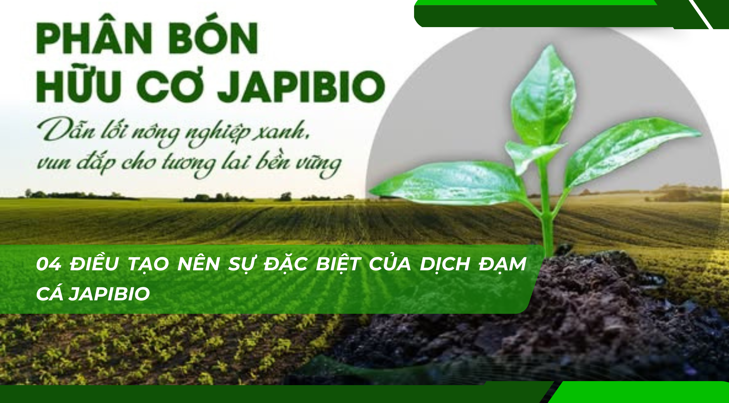 dam-ca-amino dam-ca-amino