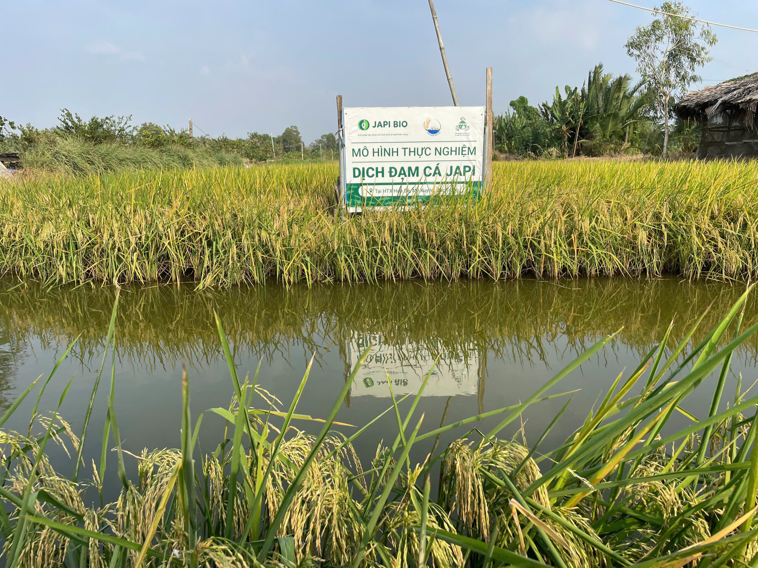 Mô hình trải nghiệm dịch đạm cá JapiBio