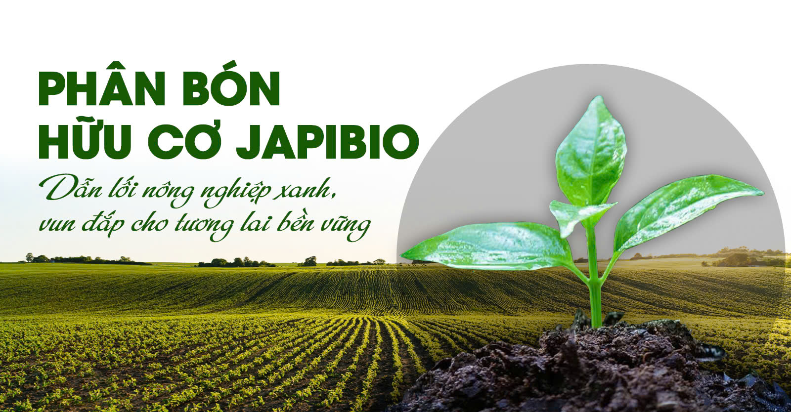 Dinh dưỡng hữu cơ