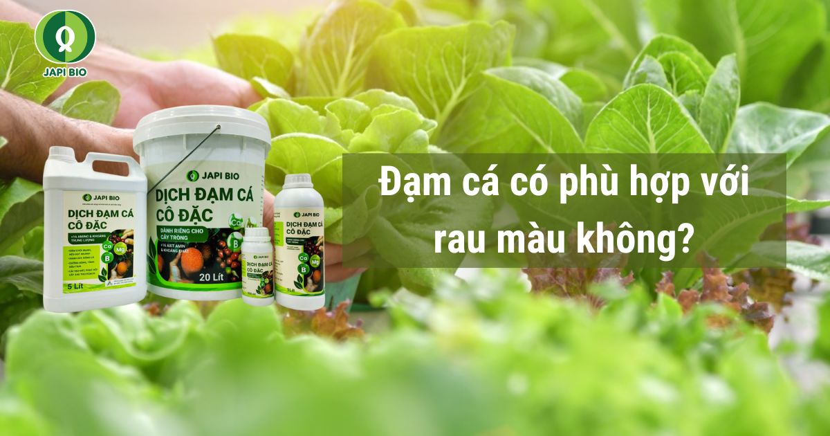 dam-ca-amino đạm cá có phù hợp với rau màu không?