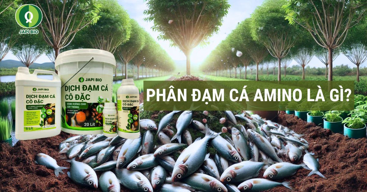 dam-ca-amino Phân đạm cá amino là gì?