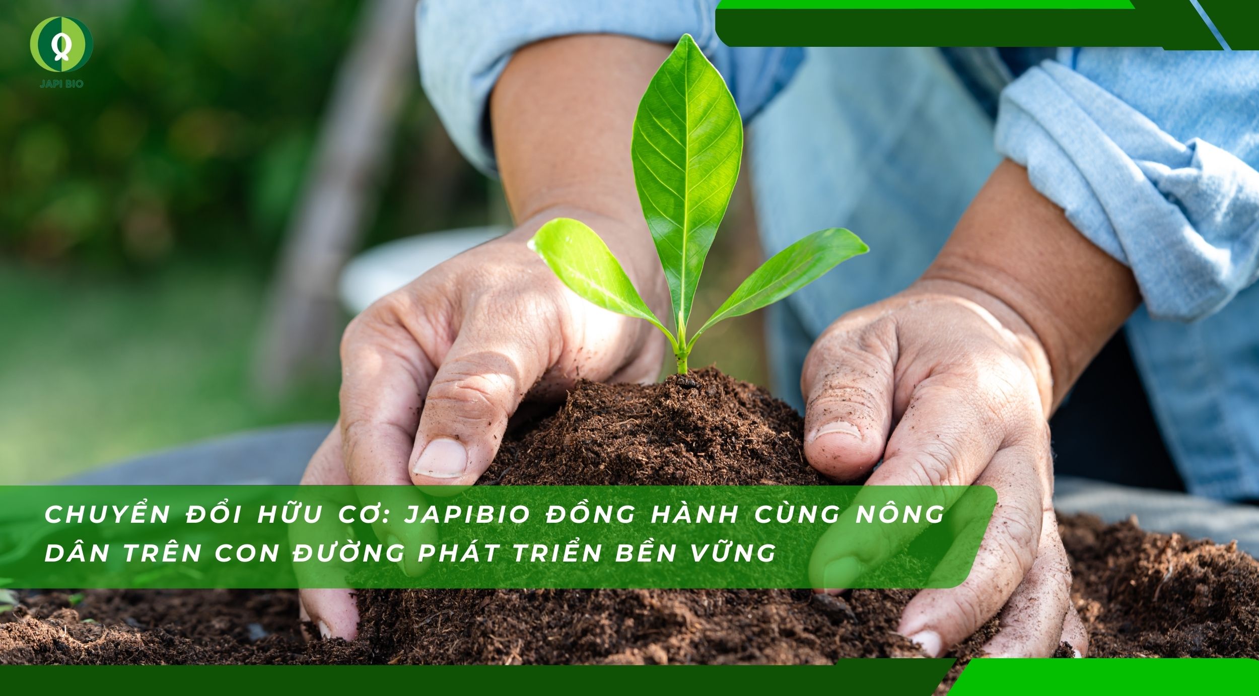 dam-ca-amino Chuyển đổi hữu cơ