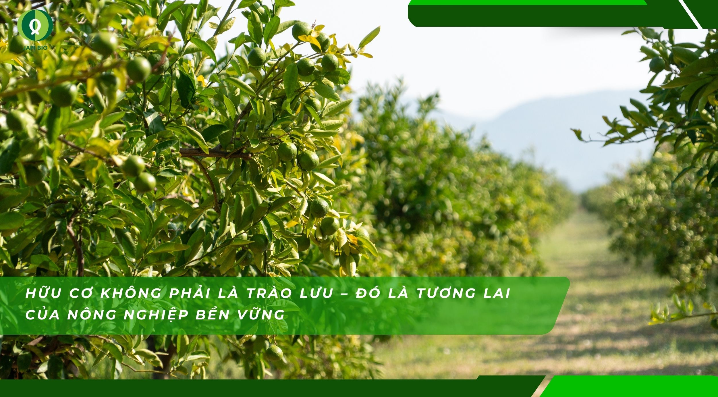 dam-ca-amino Hữu cơ không phải trào lưu