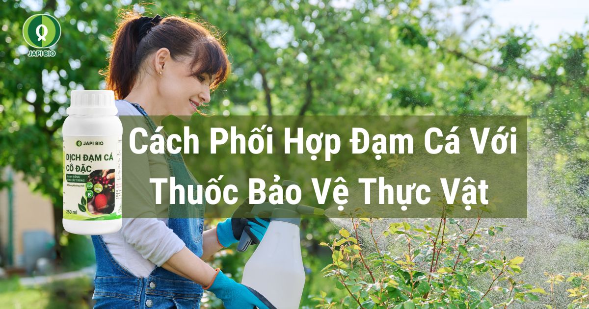 dam-ca-amino cách phối hợp đạm cá với thuốc bảo vệ thực vật