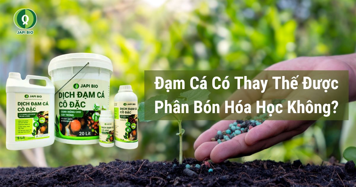 dam-ca-amino đạm cá có thể thay thế phân bón hoá học không