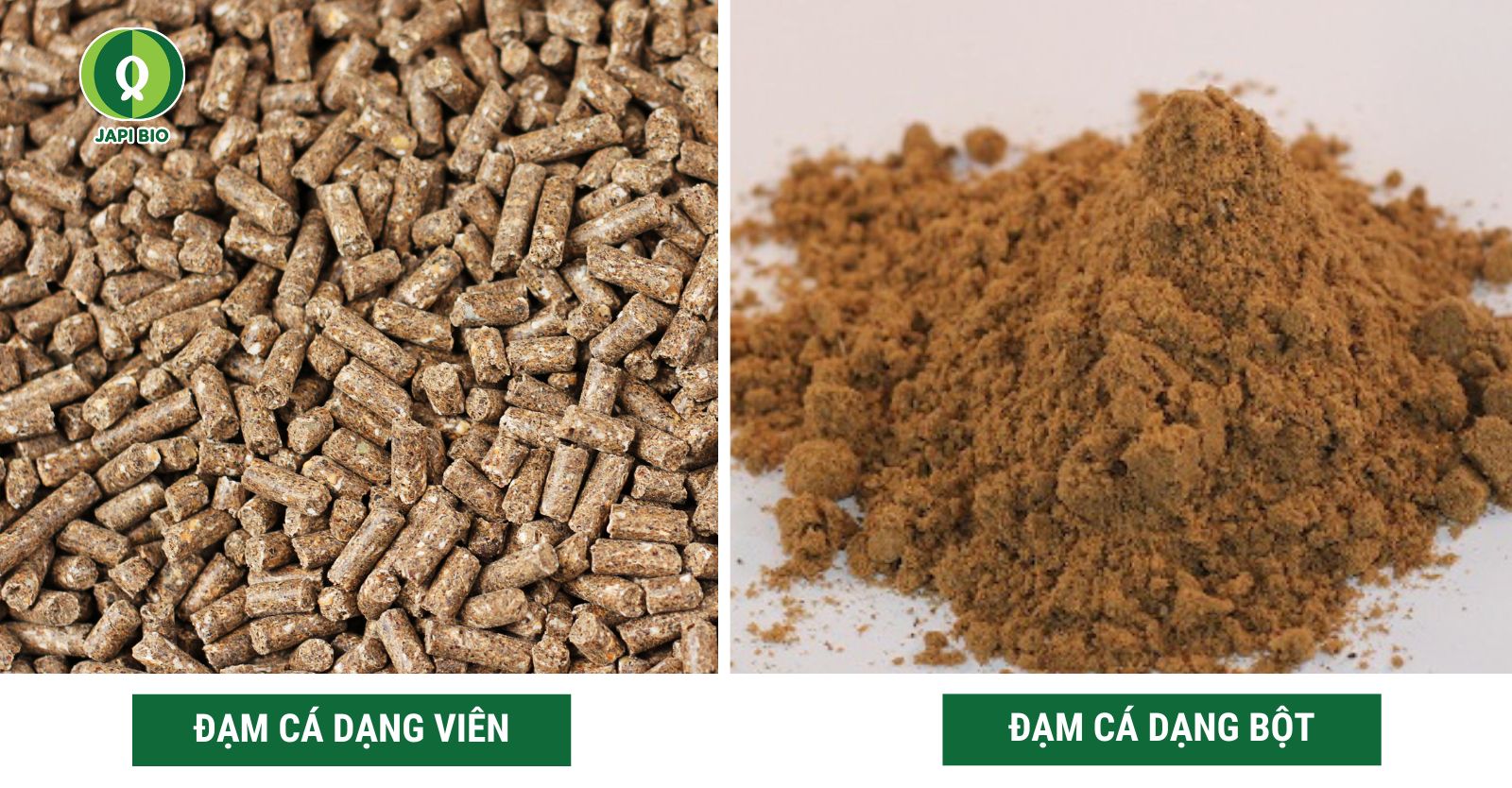 đạm cá dạng viên và dạng bột