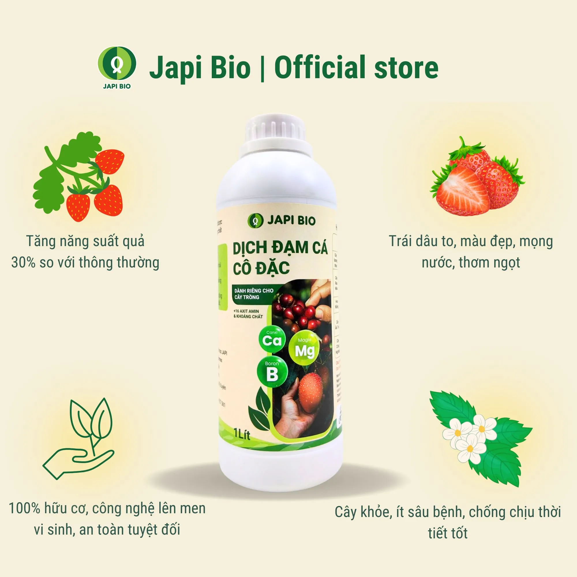 dam-ca-amino phân bón dâu tây Japi bio