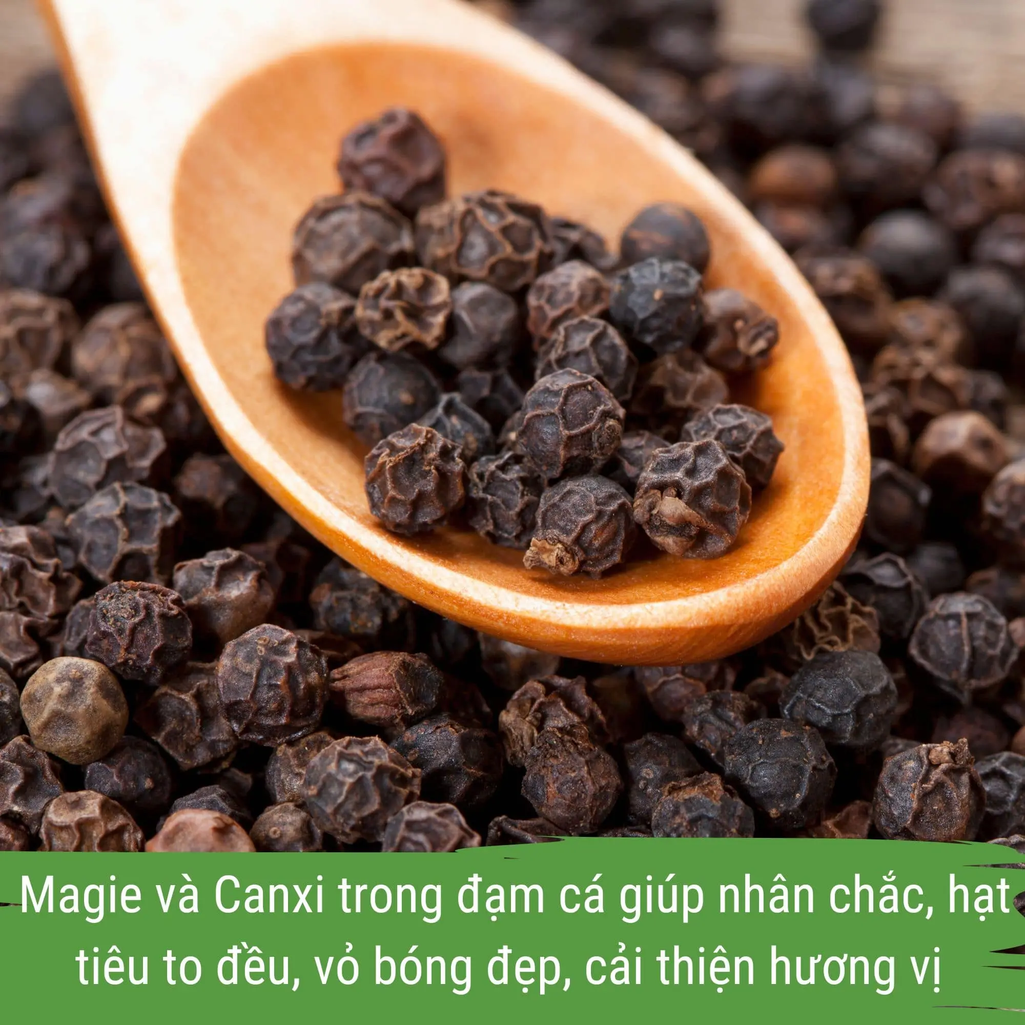 phân bón hồ tiêu - dịch đạm cá cô đặc japi bio