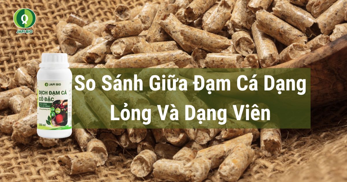 dam-ca-amino so sánh giữa đạm cá dạng lỏng và dạng viên