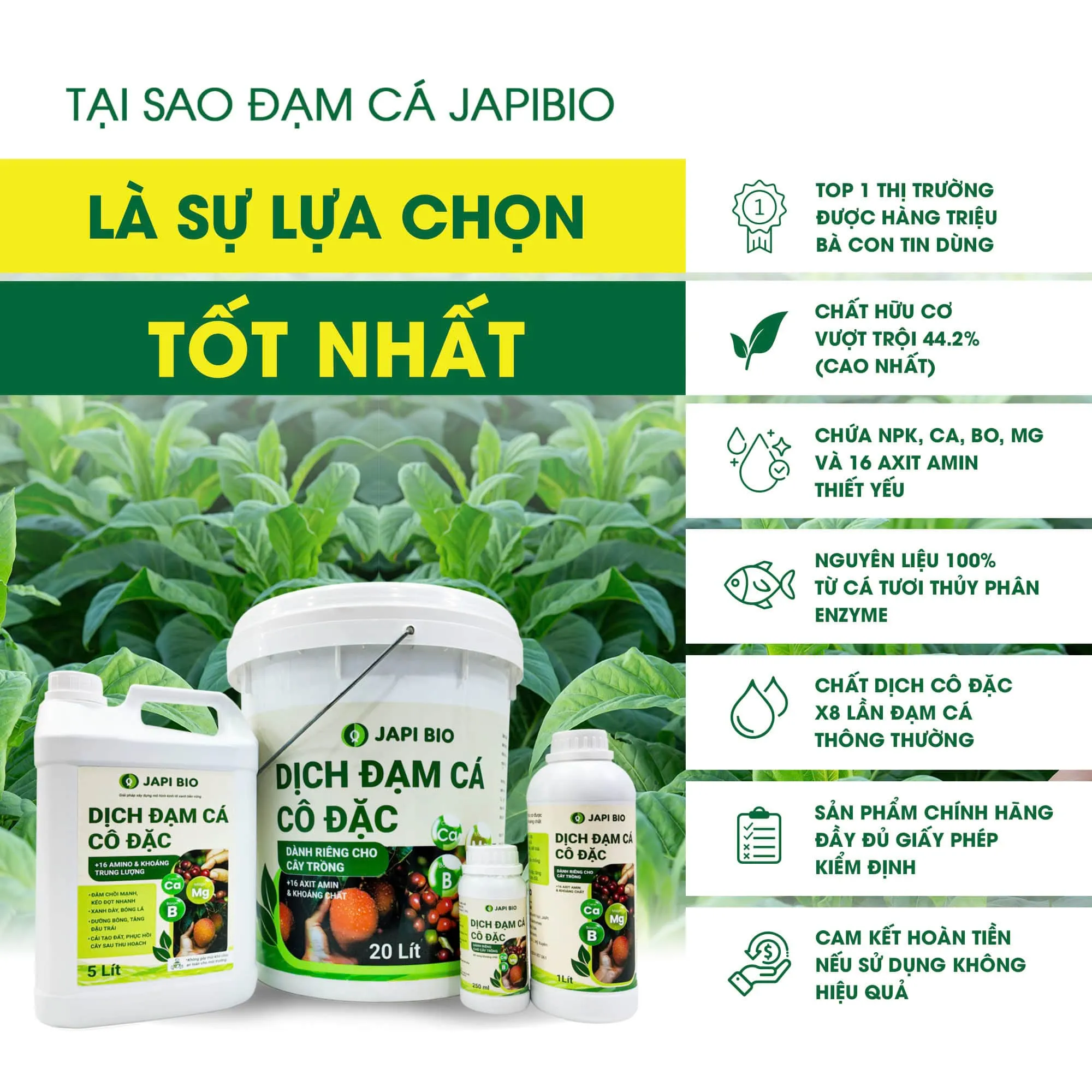 dam-ca-amino tại sao nên chọn japi bio