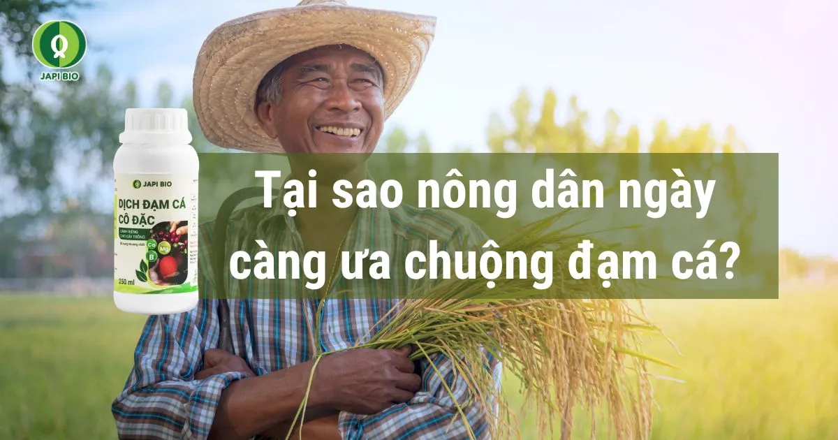 dam-ca-amino tại sao nông dân ngày càng ưa chuộng đạm cá