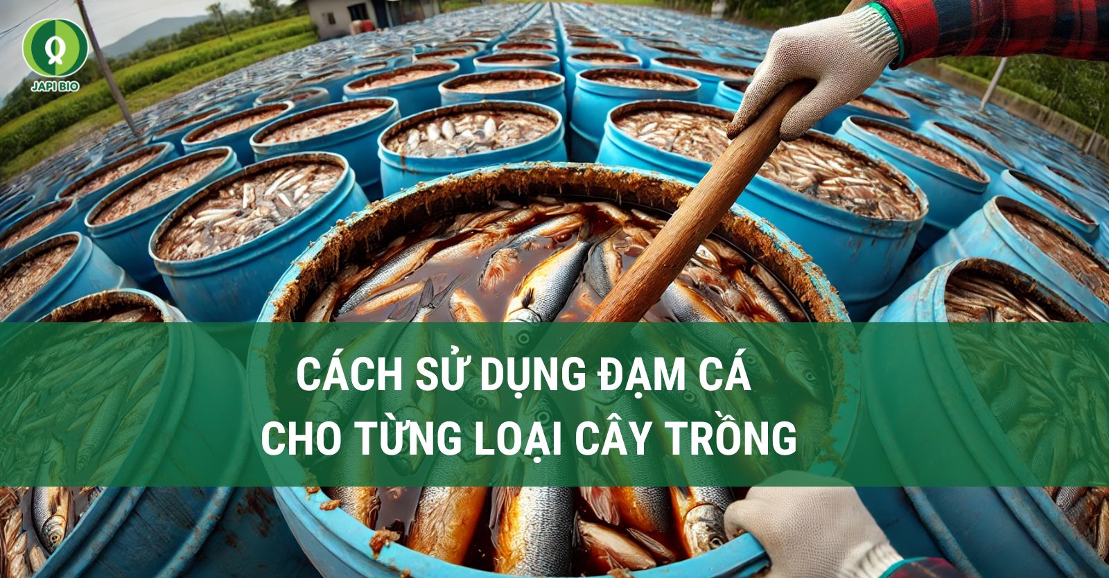 dam-ca-amino cách sử dụng đạm cá cho từng loại cây trồng