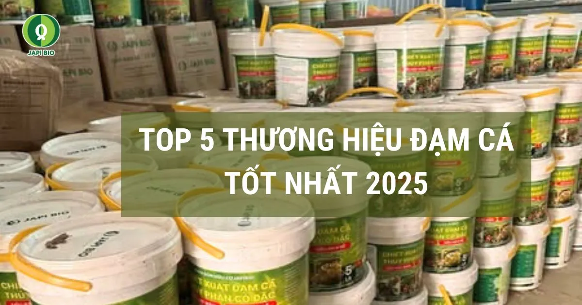 dam-ca-amino top 5 thương hiệu đạm cá tốt nhất 2025