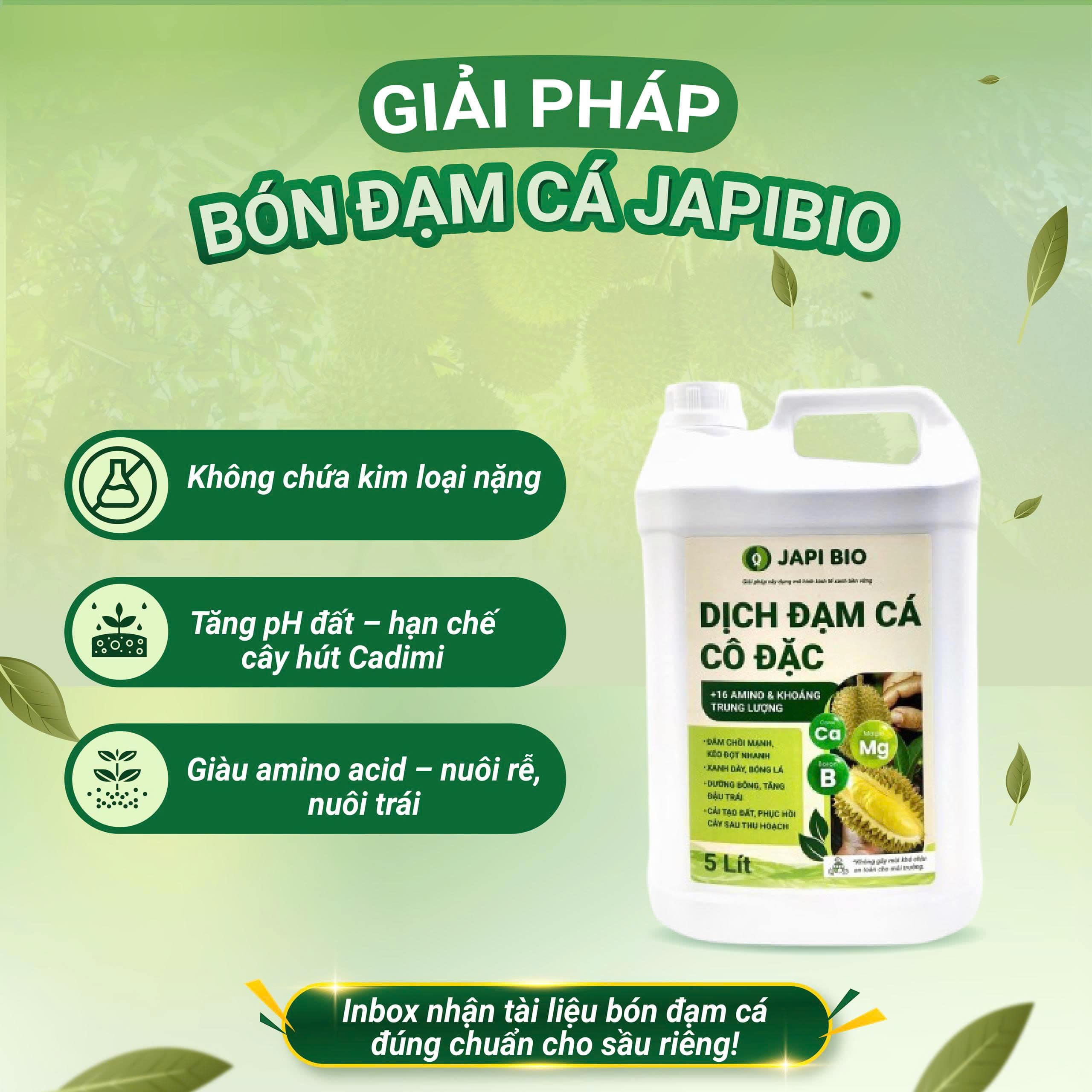 sầu riêng nhiễm cadimi