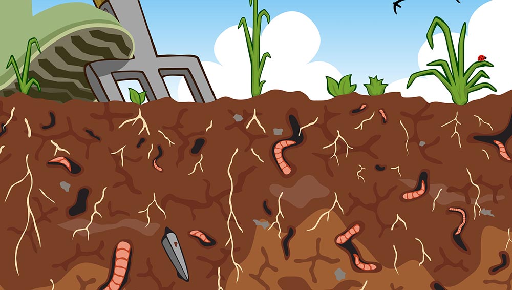 dam-ca-amino dam-ca-amino