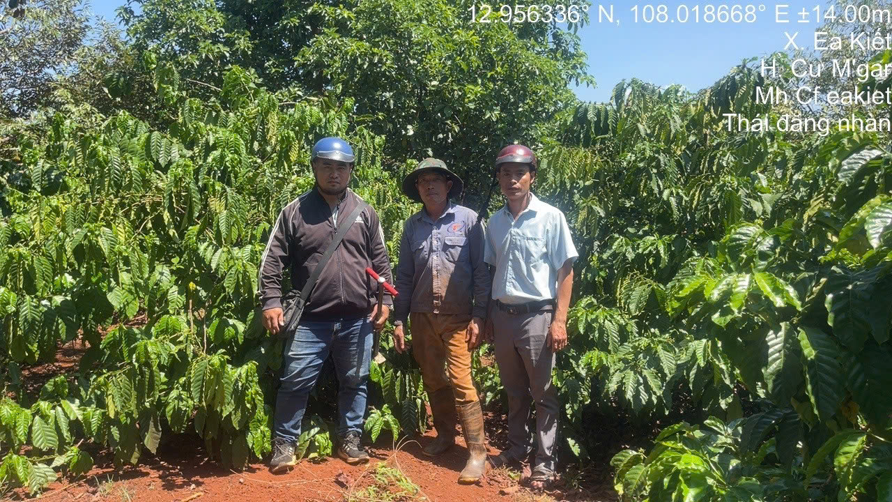 dam-ca-amino dam-ca-amino