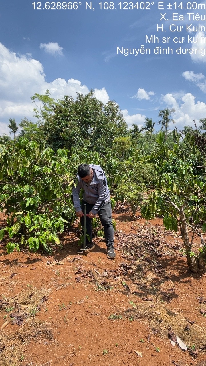 dam-ca-amino dam-ca-amino