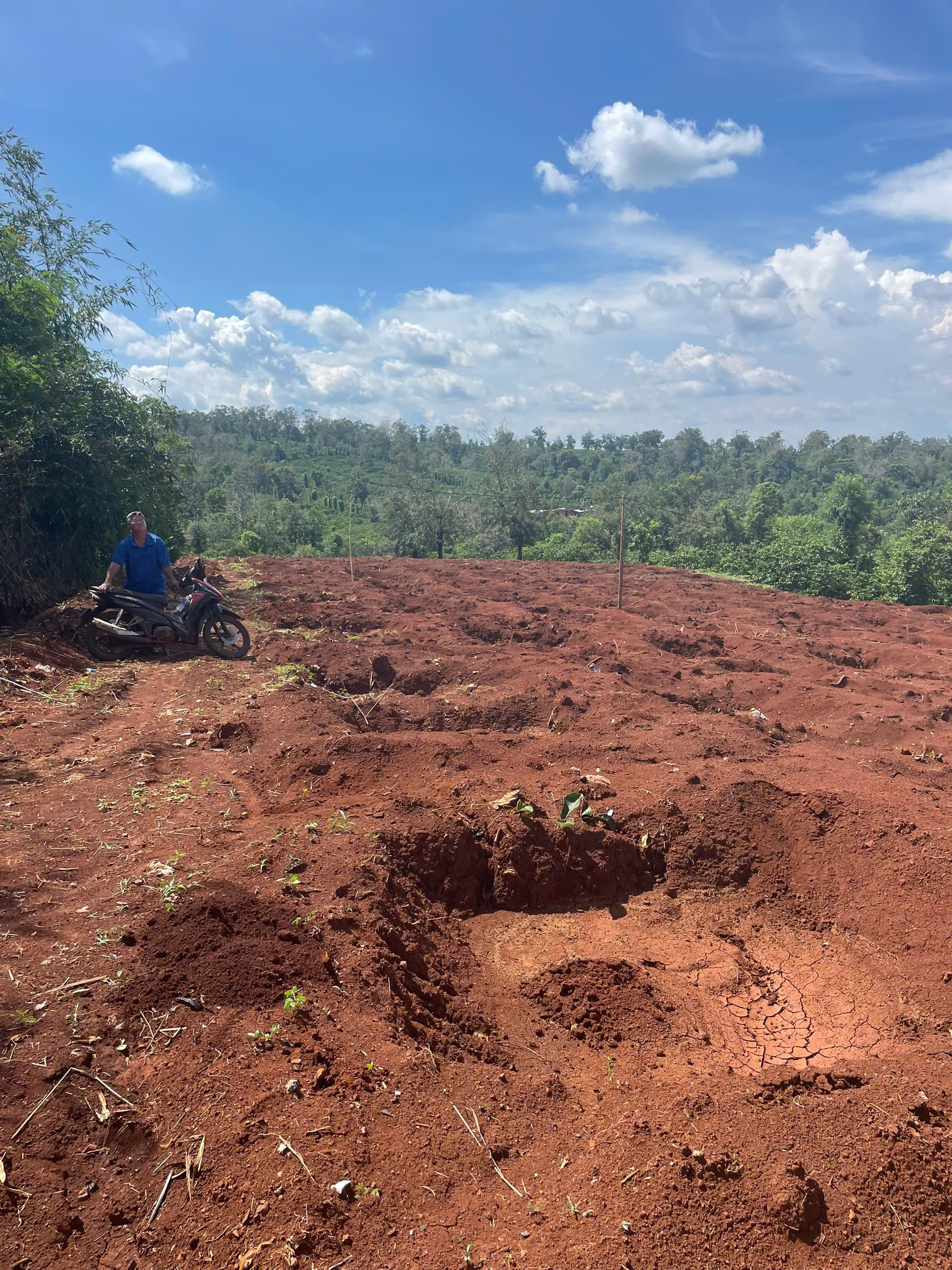 dam-ca-amino dam-ca-amino