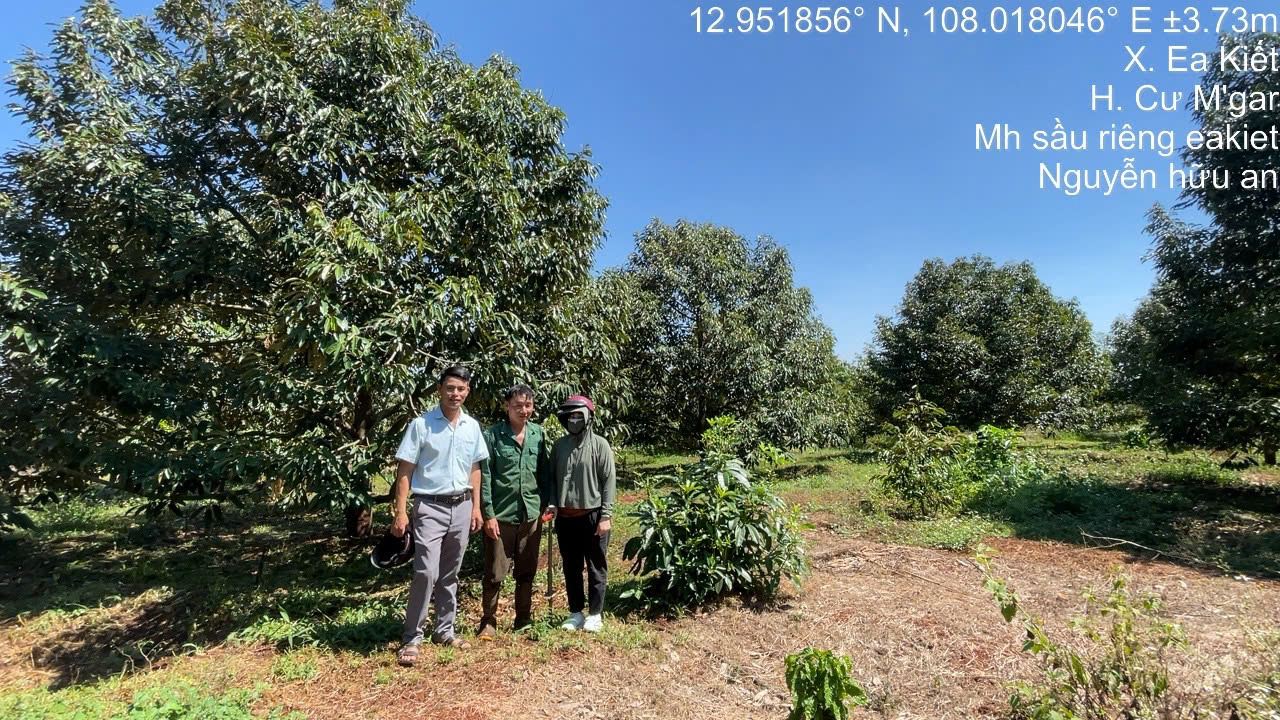 dam-ca-amino dam-ca-amino